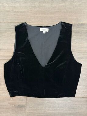 Aritzia Wilfred Black Velvet V-Neck Crop Top
